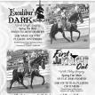Excalibur's Dark Knight