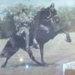 Excalibur's Dark Knight